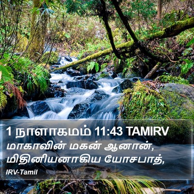 1 நாளாகமம் 11:43 TAMIRV Bible Verse Image
