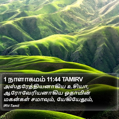 1 நாளாகமம் 11:44 TAMIRV Bible Verse Image