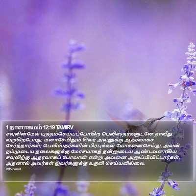 1 நாளாகமம் 12:19 TAMIRV Bible Verse Image