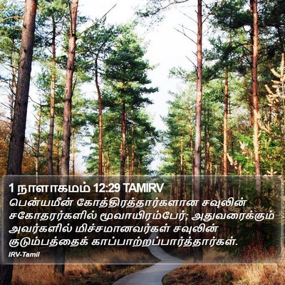 1 நாளாகமம் 12:29 TAMIRV Bible Verse Image
