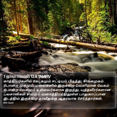 1 நாளாகமம் 12:8 TAMIRV Bible Verse Image