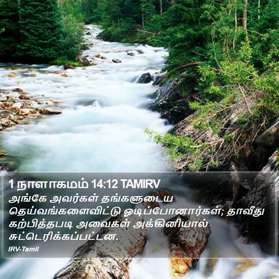 1 நாளாகமம் 14:12 TAMIRV Bible Verse Image