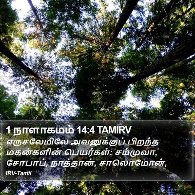 1 நாளாகமம் 14:4 TAMIRV Bible Verse Image