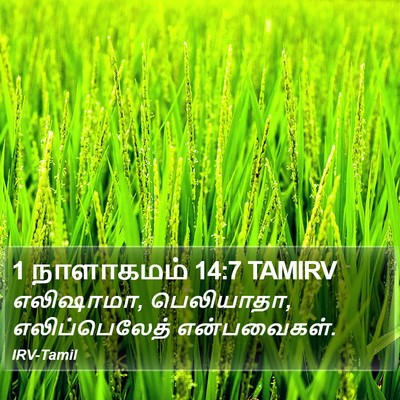 1 நாளாகமம் 14:7 TAMIRV Bible Verse Image