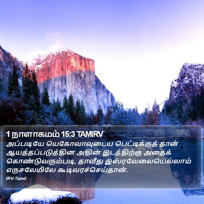1 நாளாகமம் 15:3 TAMIRV Bible Verse Image