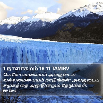 1 நாளாகமம் 16:11 TAMIRV Bible Verse Image