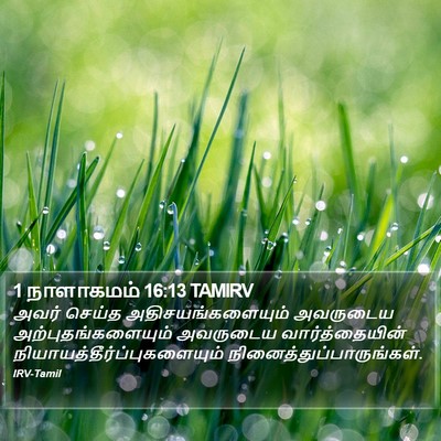 1 நாளாகமம் 16:13 TAMIRV Bible Verse Image