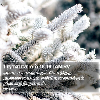 1 நாளாகமம் 16:16 TAMIRV Bible Verse Image