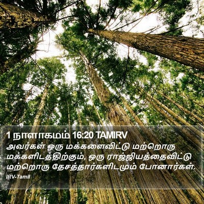 1 நாளாகமம் 16:20 TAMIRV Bible Verse Image