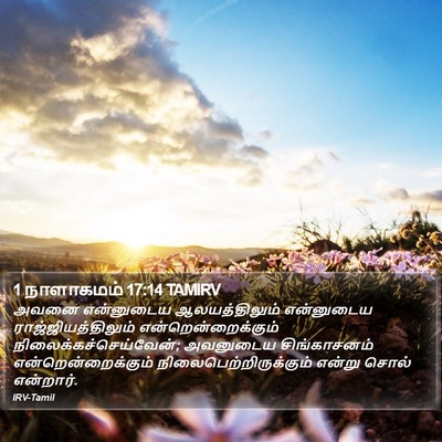 1 நாளாகமம் 17:14 TAMIRV Bible Verse Image