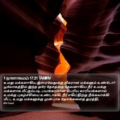 1 நாளாகமம் 17:21 TAMIRV Bible Verse Image