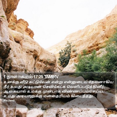 1 நாளாகமம் 17:25 TAMIRV Bible Verse Image