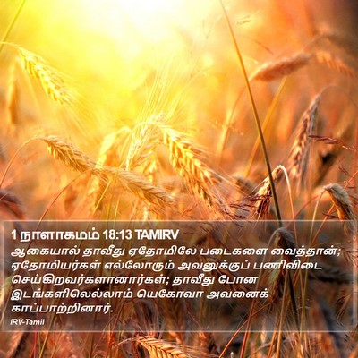 1 நாளாகமம் 18:13 TAMIRV Bible Verse Image