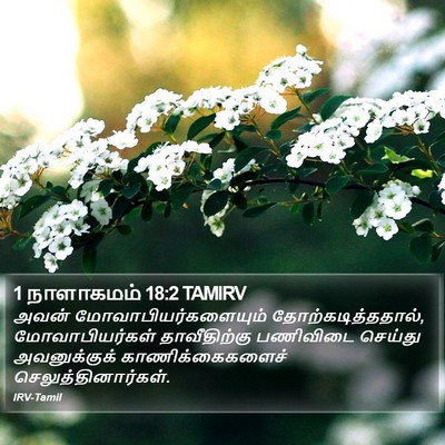 1 நாளாகமம் 18:2 TAMIRV Bible Verse Image