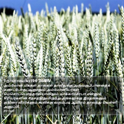 1 நாளாகமம் 19:6 TAMIRV Bible Verse Image