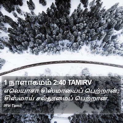 1 நாளாகமம் 2:40 TAMIRV Bible Verse Image