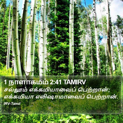 1 நாளாகமம் 2:41 TAMIRV Bible Verse Image