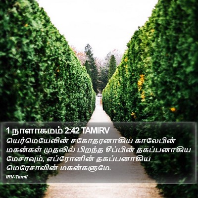 1 நாளாகமம் 2:42 TAMIRV Bible Verse Image