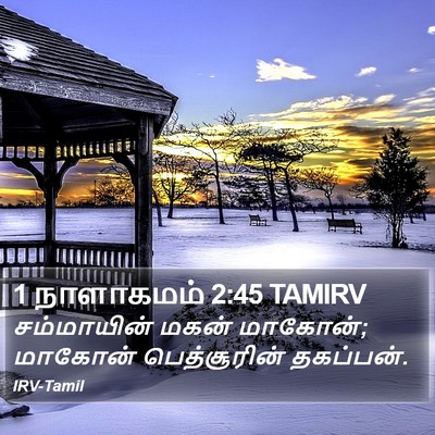 1 நாளாகமம் 2:45 TAMIRV Bible Verse Image