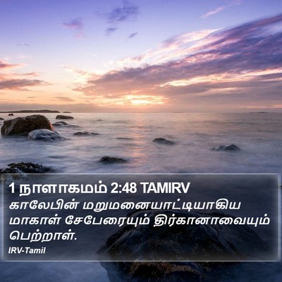 1 நாளாகமம் 2:48 TAMIRV Bible Verse Image