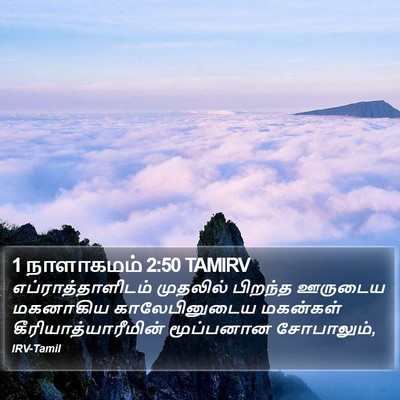 1 நாளாகமம் 2:50 TAMIRV Bible Verse Image