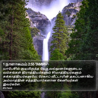 1 நாளாகமம் 2:55 TAMIRV Bible Verse Image