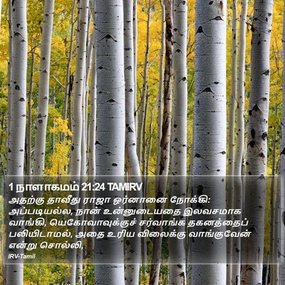 1 நாளாகமம் 21:24 TAMIRV Bible Verse Image