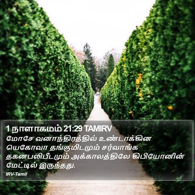 1 நாளாகமம் 21:29 TAMIRV Bible Verse Image