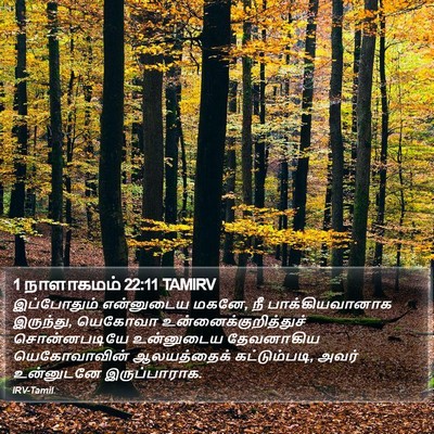 1 நாளாகமம் 22:11 TAMIRV Bible Verse Image