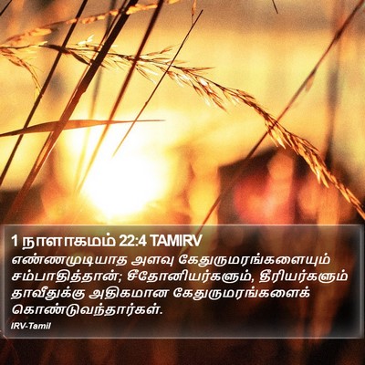 1 நாளாகமம் 22:4 TAMIRV Bible Verse Image