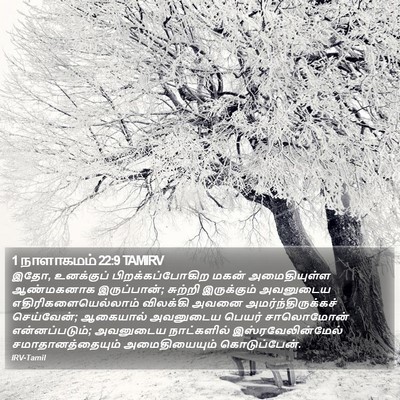 1 நாளாகமம் 22:9 TAMIRV Bible Verse Image