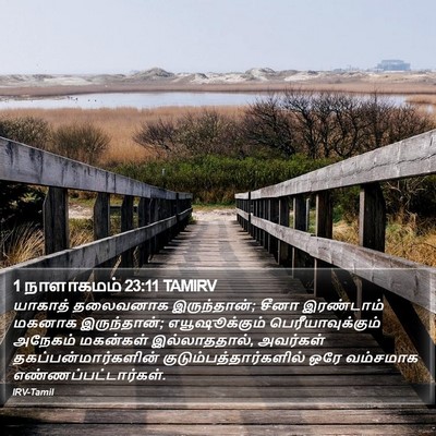 1 நாளாகமம் 23:11 TAMIRV Bible Verse Image