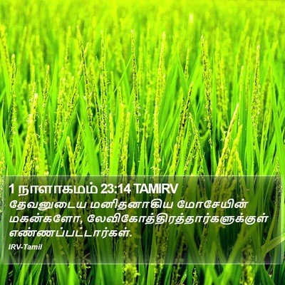1 நாளாகமம் 23:14 TAMIRV Bible Verse Image