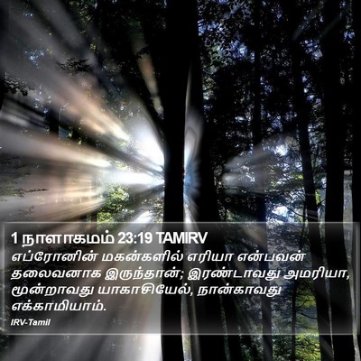1 நாளாகமம் 23:19 TAMIRV Bible Verse Image