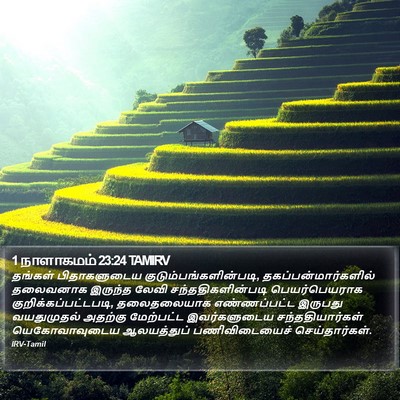 1 நாளாகமம் 23:24 TAMIRV Bible Verse Image
