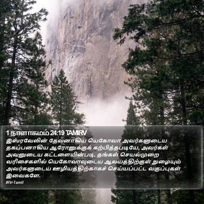1 நாளாகமம் 24:19 TAMIRV Bible Verse Image