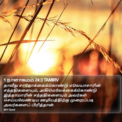 1 நாளாகமம் 24:3 TAMIRV Bible Verse Image