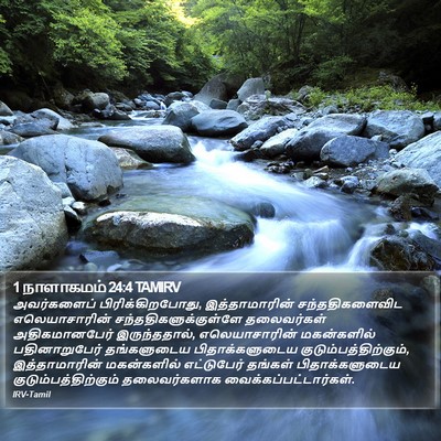 1 நாளாகமம் 24:4 TAMIRV Bible Verse Image