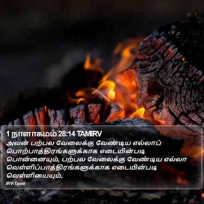 1 நாளாகமம் 28:14 TAMIRV Bible Verse Image