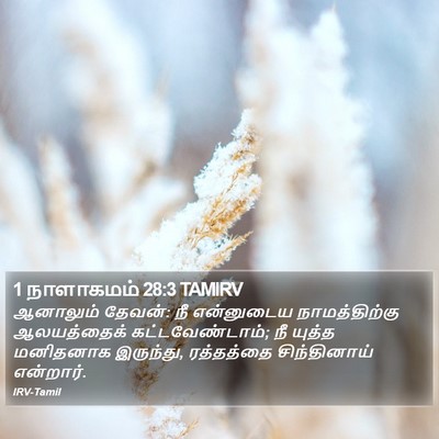 1 நாளாகமம் 28:3 TAMIRV Bible Verse Image