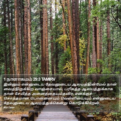 1 நாளாகமம் 29:3 TAMIRV Bible Verse Image