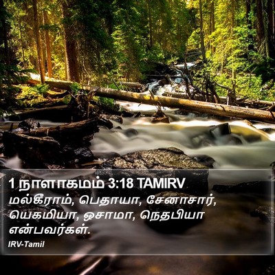 1 நாளாகமம் 3:18 TAMIRV Bible Verse Image