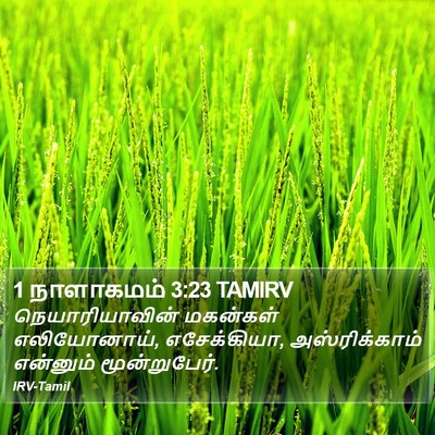 1 நாளாகமம் 3:23 TAMIRV Bible Verse Image