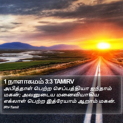 1 நாளாகமம் 3:3 TAMIRV Bible Verse Image