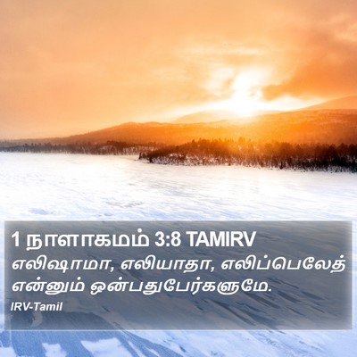 1 நாளாகமம் 3:8 TAMIRV Bible Verse Image