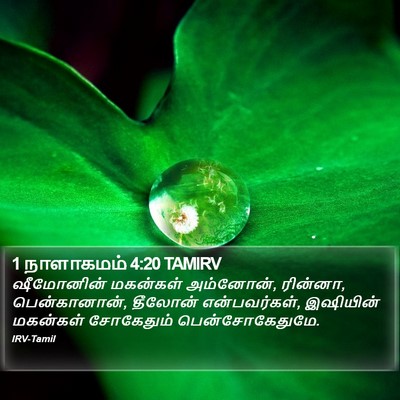 1 நாளாகமம் 4:20 TAMIRV Bible Verse Image