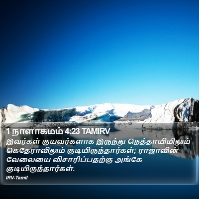 1 நாளாகமம் 4:23 TAMIRV Bible Verse Image