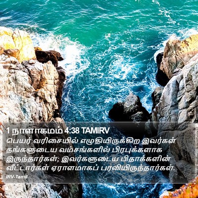 1 நாளாகமம் 4:38 TAMIRV Bible Verse Image