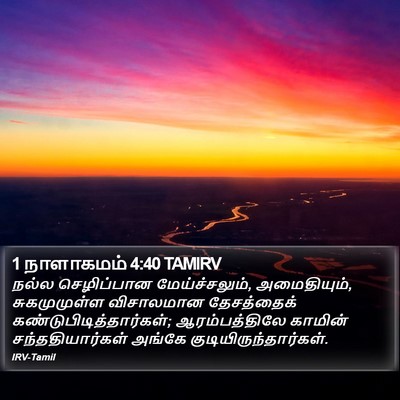 1 நாளாகமம் 4:40 TAMIRV Bible Verse Image