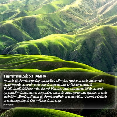 1 நாளாகமம் 5:1 TAMIRV Bible Verse Image